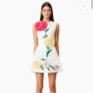 Elliatt embroidered mini dress-sold out on their website!